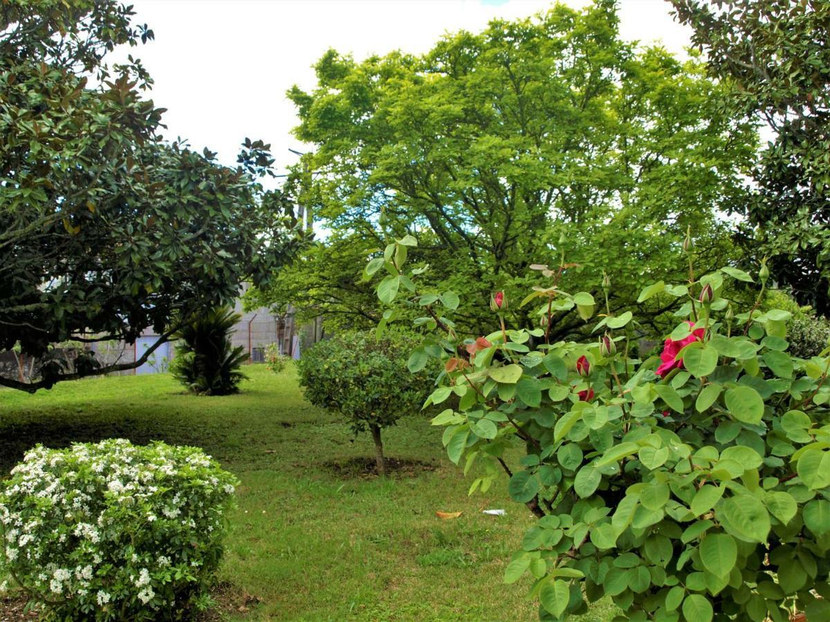 Albergue Pallanes Tui Exteriér fotografie